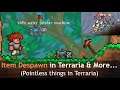 Will Terraria item despawn in 5 minutes? (Some pointless things in Terraria...)