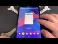 Como Ativar e Desativa Modo de Desenvolvedor Tablet Samsung Galaxy Tab A8 P205 | Android10Q | Sem PC