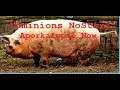 Dominions Nostars Turns 6-13  - The Silence of the Pigs