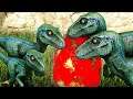 Família Blue Raptor: Ensinando Os Novos Filhotes a Caçar! Dinossauros Ark Survival Evolved