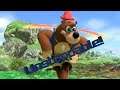 Training An Unstoppable Banjo & Kazooie AMIIBO!