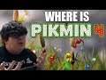 What Happened To Pikmin 4? (The Biggest Nintendo Mystery)