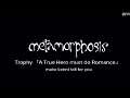 metamorphosis  Trophy 「A True Hero must do Romance」