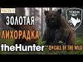 theHunter Call of the Wild #9 🐺 - Золотая Лихорадка - Долина Юкона, Аляска