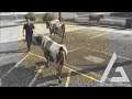 GTA5 Roleplay - ARP  - The Cow Patrol!!