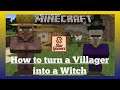 How to turn a Villager into a Witch in Minecraft ??