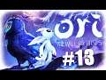 Ori and the Will of the Wisps - Hollow's Blind Playthrough - Episode 13