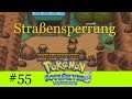 Straßensperrung - Pokémon Soul Silver Randomizer Nuzlocke #55 [Deutsch | German]