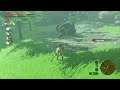 The legend of zelda breath of the wild Gameplay 73 (Switch) A la recherche de korogus (parties 9)