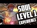 THE SOUL LEVEL 1 EXPERIENCE