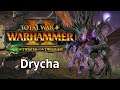 Total War Warhammer 2: The Twisted and the Twilight DLC | Drycha - Campaign – Part 2
