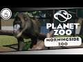 Eine ungewöhnliche Wohngemeinschaft «» Morningside Zoo #051 🇳🇿🐅 - PLANET ZOO Franchise | Deutsch