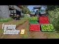 Growing Lettuce&Red Pepper... | Hof Bergmann| Farming Simulator 2019 timelapse #13