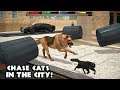 Ultimate Dog Simulator Gameplay Trailer - (Android)