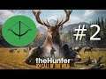 A Talk About an Epic Problem | The Hunter; Call of the Wild #2