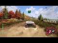 DiRT Rally 2.0: Ford Fiesta R5 - New England