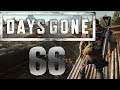 Lets Play Days Gone - Part 66 - Weniger Hinterhalt- und Plünderercamps