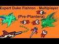 Terraria | Expert Pre-Plantera Duke Fishron - Multiplayer