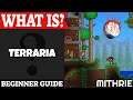 Terraria Introduction | What Is Series