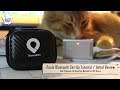 iTools Bluetooth Device - Safe Spoofing Tutorial - Where To Buy, How To Set Up, and Initial Review