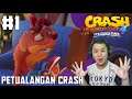Kocak sih ini Crash 🤣- Crash Bandicoot 4 It's About Time Part 1