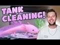 My Axolotl gets a new Tank Setup + Water Changing & Feeding Mew!