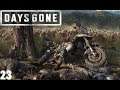 Days Gone - PS4 - Let´s Play 23 - Der Friedhofsreiniger
