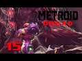 Ein großes Problem #15 👽 Metroid Dread