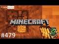 Minecraft | Drilling Miner MK3 | #479 | All of Fabric 3 Modpack | 1.16.4 | Deutsch