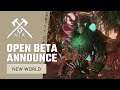 New World Open Beta Announcement | The Last Beta Before Launch