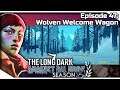 THE LONG DARK — Against All Odds 47 [S6] | "Errant Pilgrim" Gameplay - Wolven Welcome Wagon
