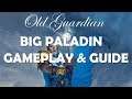 Big Paladin deck guide and gameplay (Hearthstone Rise of Shadows)