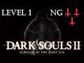 Dark souls 2 sotfs pc level 1 ng+++ día 13