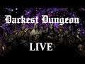Darkest Dungeon - Livestream von Bisu Zimt [German / Deutsch]