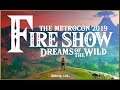 Metrocon 2019 - Fire Show: Dreams of the Wild