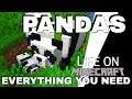 Minecraft Panda Personalities: How to Find Pandas Tame Pandas and Breed Pandas Life on Minecraft Avo
