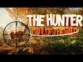 The Hunter: Call of the Wild | Охота на северо-западе Канады | Yukon Valley