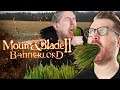 Brown Stew & Grass (Mount & Blade II: Bannerlord)