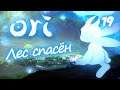 ЛЕС СПАСЁН - ORI and the Blind Forest - 19 - Финал