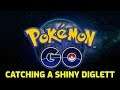 Pokémon GO - Catching a Shiny Diglett