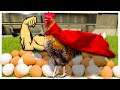 Super Strength Chickens Make ALL The Eggs // Farming Simulator 2022 Gameplay