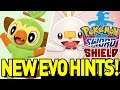 GROOKEY and SCORBUNNY EVOLUTION HINTS in NEW Pokemon Sword and Shield Interview!