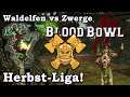 Waldelfen (Hamster) vs Zwerge! Die Herbstliga!  Blood Bowl 2