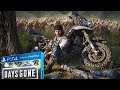 DAYS GONE: GAMEPLAY   PS4 #7   😎