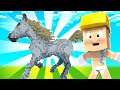 El mejor caballo de la historia - Minecraft minijuegos