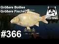 Größere Boilies, Größere Fische? Bernsteinsee | Russian Fishing 4 #366 | Deutsch | UwF