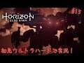 【ホラゼロ】Horizon Zero Dawnを初見ウルトラハードで実況プレイ Part15【ホライゾンゼロドーン】