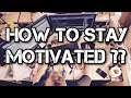 How to Stay Motivated on Youtube | Gamer Motivation Twitch YouTube Streamers