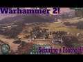Warhammer 2 - Securing a Foothold!