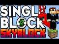MineCraft Skyblock One Block - But I build A Giant Farm!